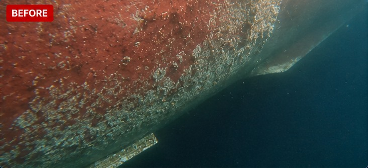 Vessel hull covered with marine fouling before cleaning